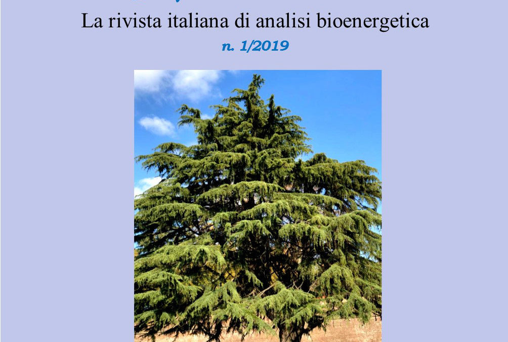 Corpo & Identità I, 2019