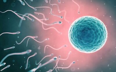 Prima e dopo la nascita: tra desideri e traumi. Attività di Prevenzione e Interventi Precoci (prima parte)