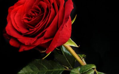 Eros: il segreto che tiene vivo l’amore